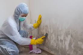 Best Mold Damage Restoration in Kings Mills, OH